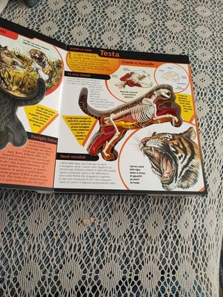 libro con la tigre 3D