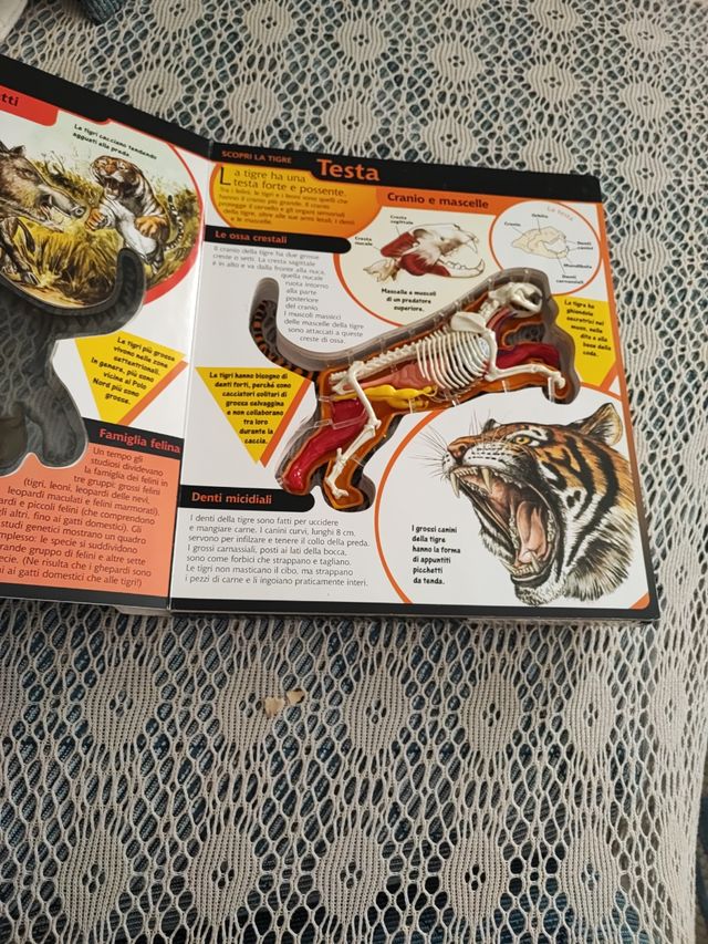 libro con la tigre 3D