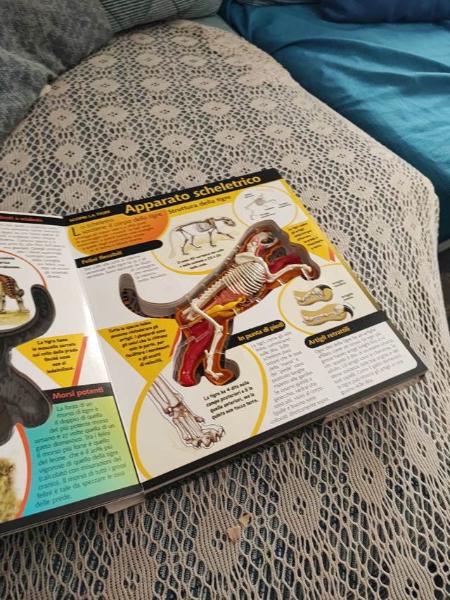 libro con la tigre 3D