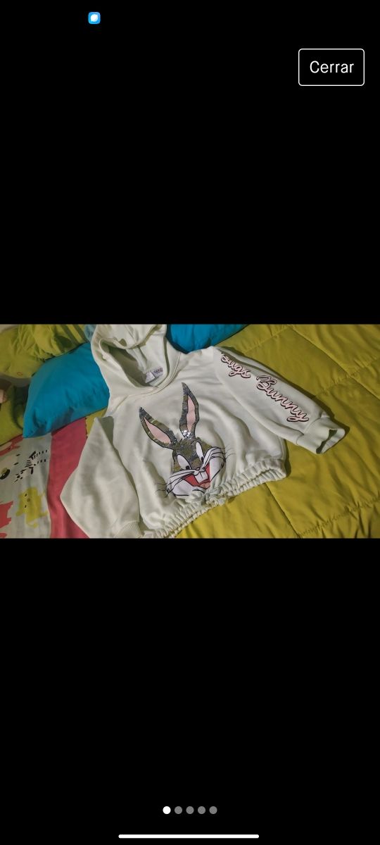Sudadera Looney tones zara