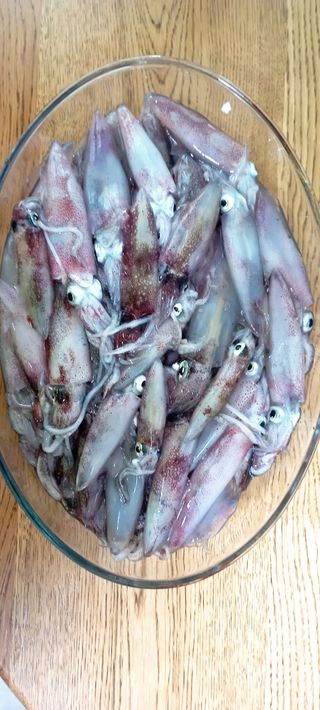 Shimano sephia y carrete sephia