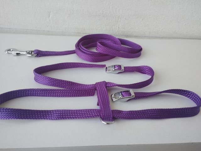 Pettorina e guinzaglio