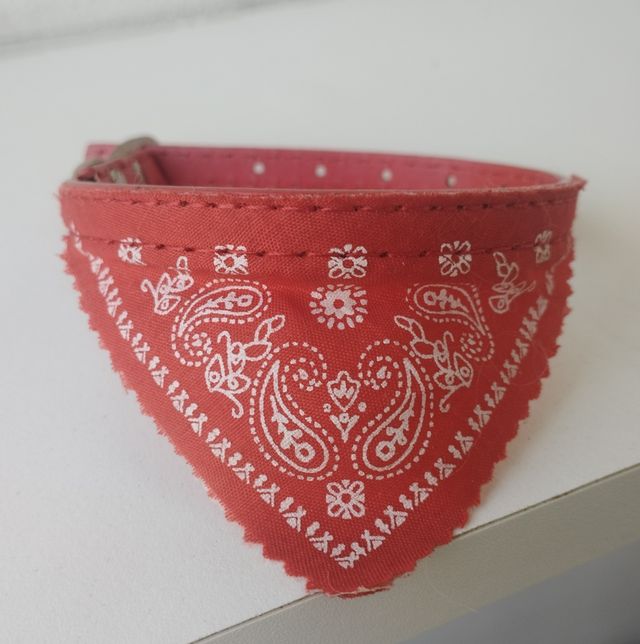 Collare bandana