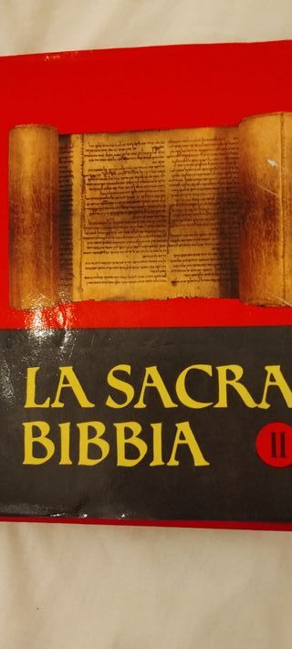 libro vintage  bibbia