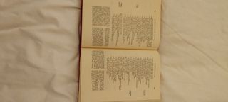 libro vintage  bibbia