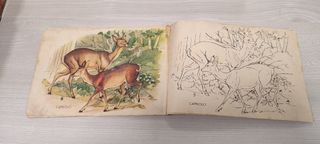 Cubi in legno- Gioco anni 50 - completo