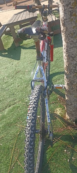 Bici montaña revisada