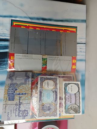 Raccolta ricordo Egitto