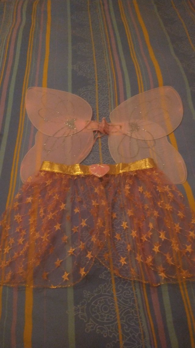 Costume da farfalla 🦋