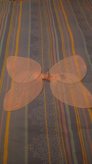 Costume da farfalla 🦋