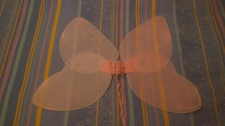 Costume da farfalla 🦋