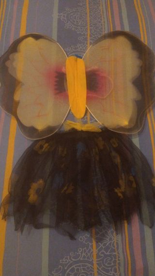 Costume da farfalla 🦋