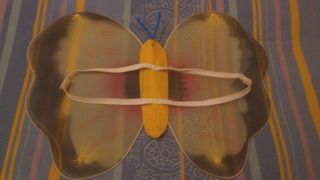 Costume da farfalla 🦋