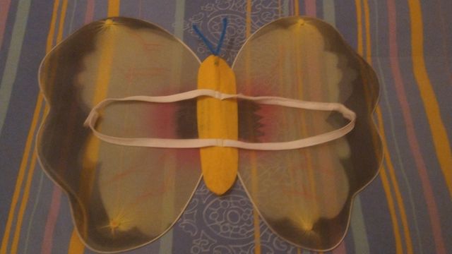 Costume da farfalla 🦋