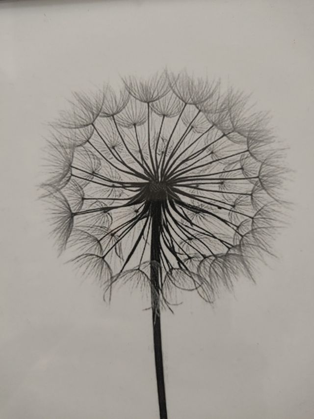 Cuadro estilo retro dorado lámina flor