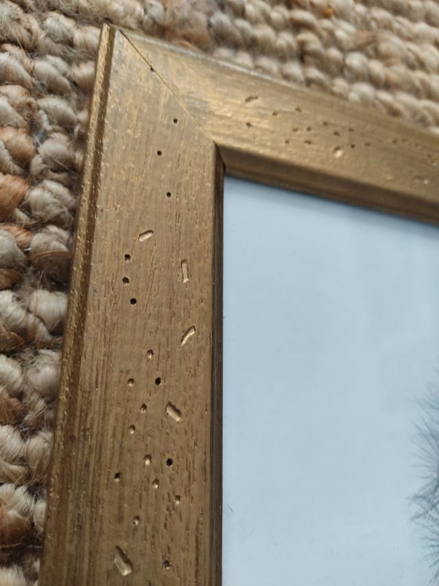 Cuadro estilo retro dorado lámina flor