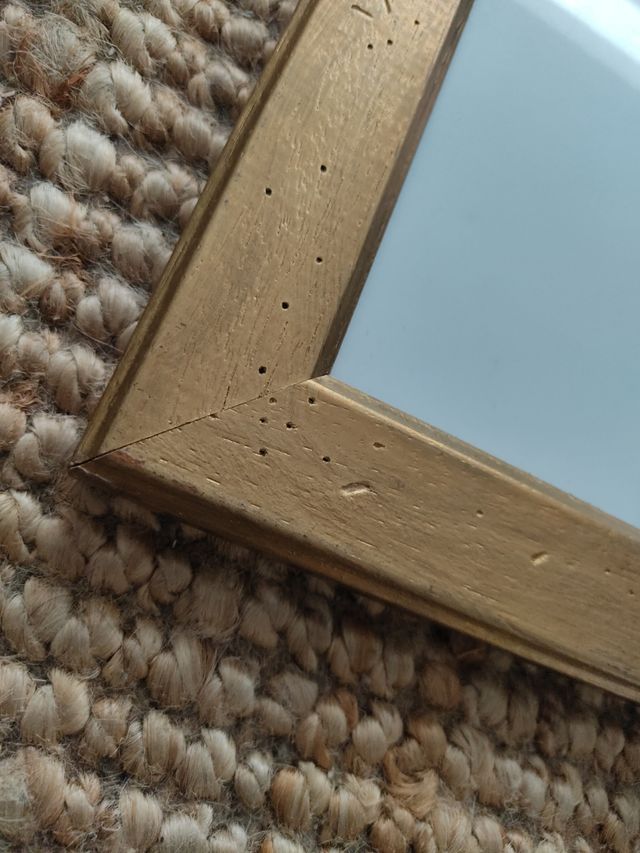 Cuadro estilo retro dorado lámina flor