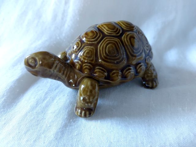 Tartaruga di porcellana