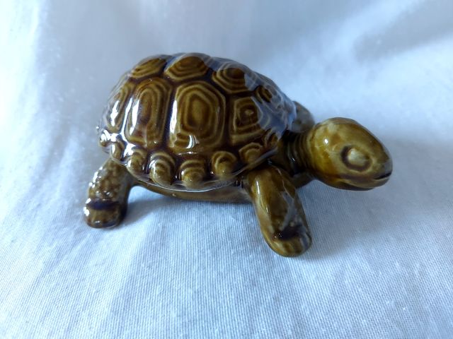 Tartaruga di porcellana