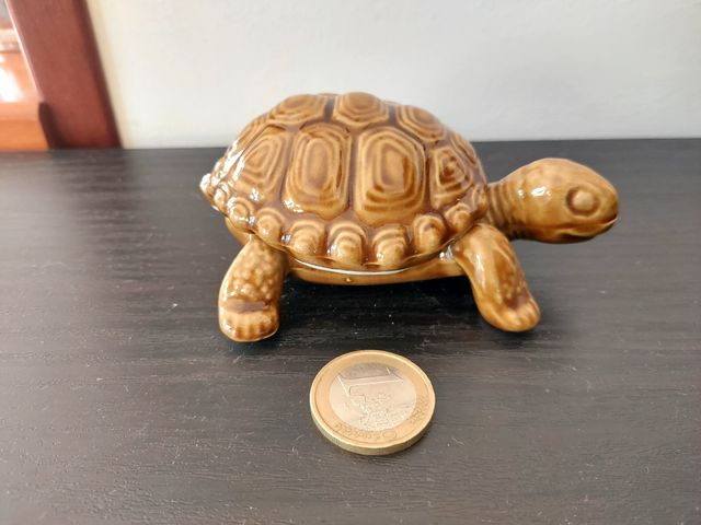 Tartaruga di porcellana