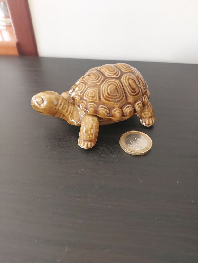 Tartaruga di porcellana