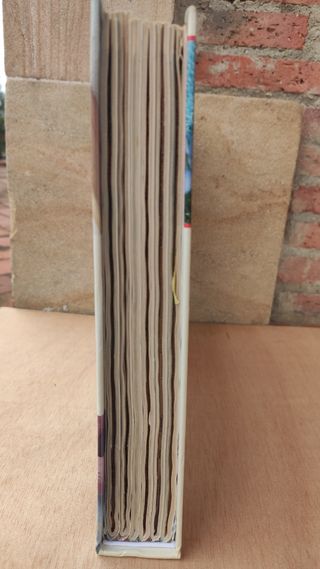Enciclopedia punto de cruz