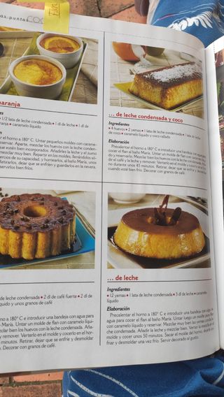 Enciclopedia punto de cruz