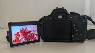 Canon EOS 600D + extras