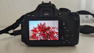 Canon EOS 600D + extras