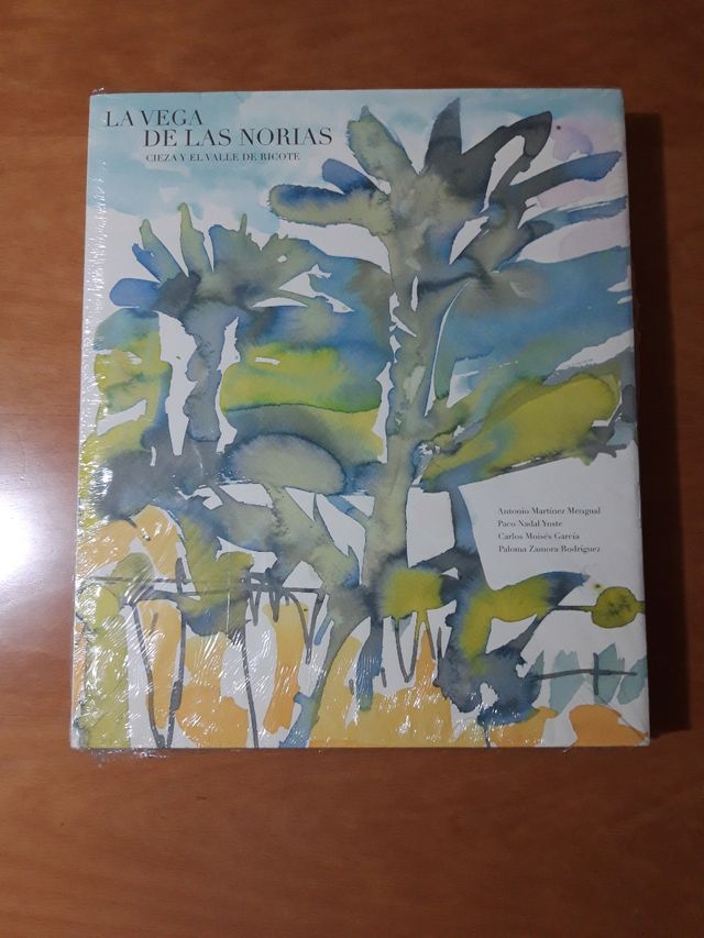 Cieza y el Valle del Ricote. Norias