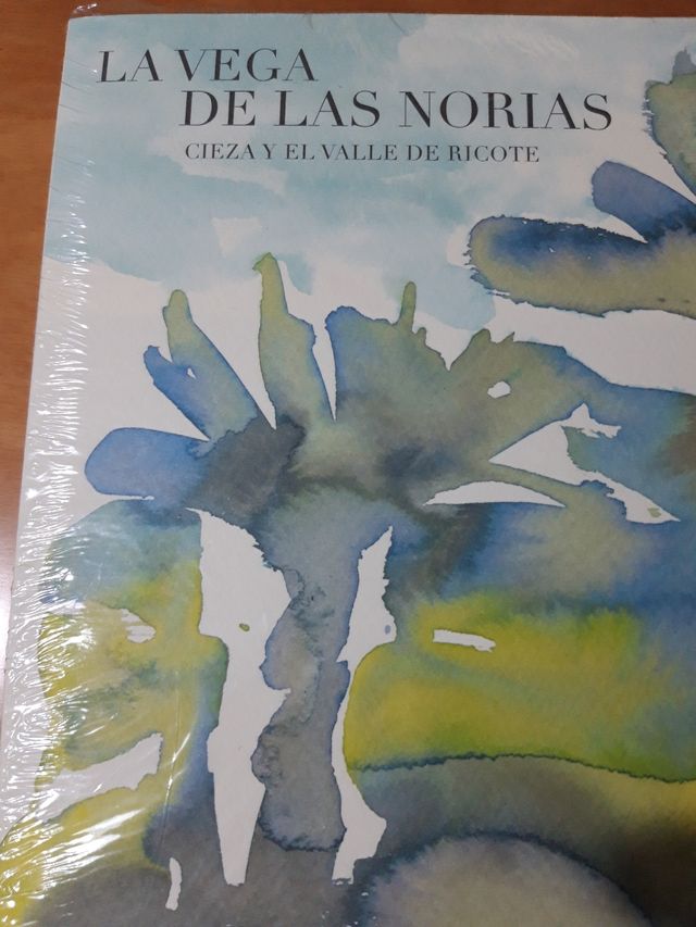 Cieza y el Valle del Ricote. Norias