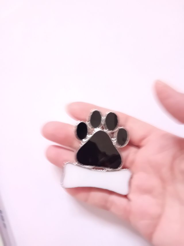 Calamita impronta zampa