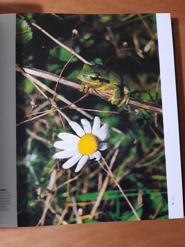12 naturalezas mediterráneas