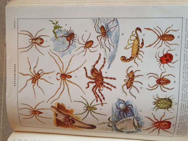 Enciclopedia Sopena año 1953