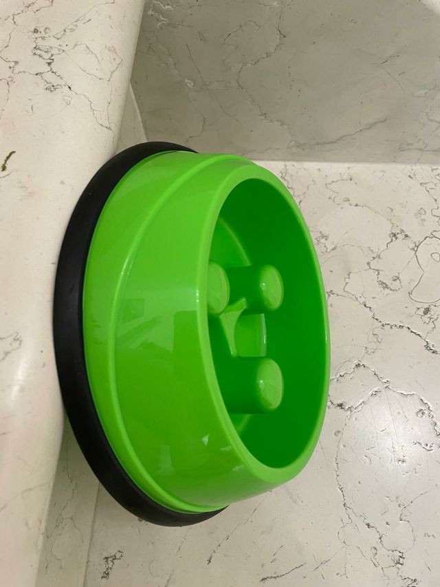 Ciotola per cane o gatto