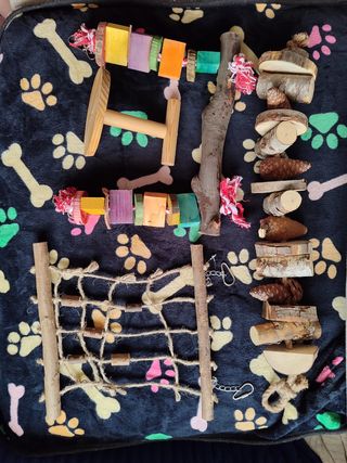 PACK JUGUETES PARA LORO