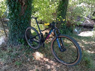 Scott spark rc team issue axs