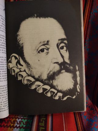 DON QUIJOTE DE LA MANCHA