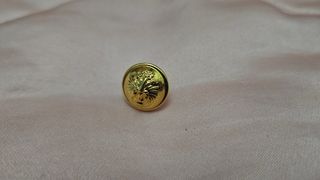 Lote botones militares antiguos