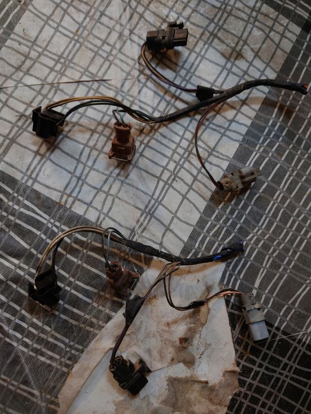 Conectores faros Renault Kangoo