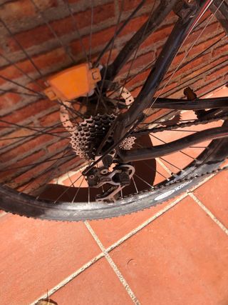 Bicicleta Orbea Master