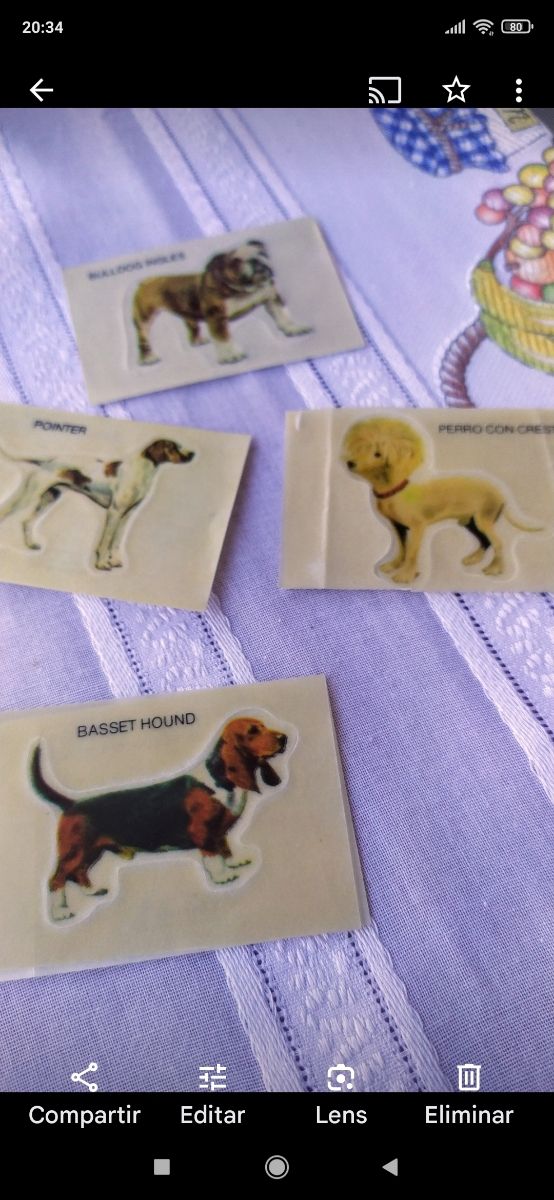 Pegatinas cromos  Panrico adhesivos