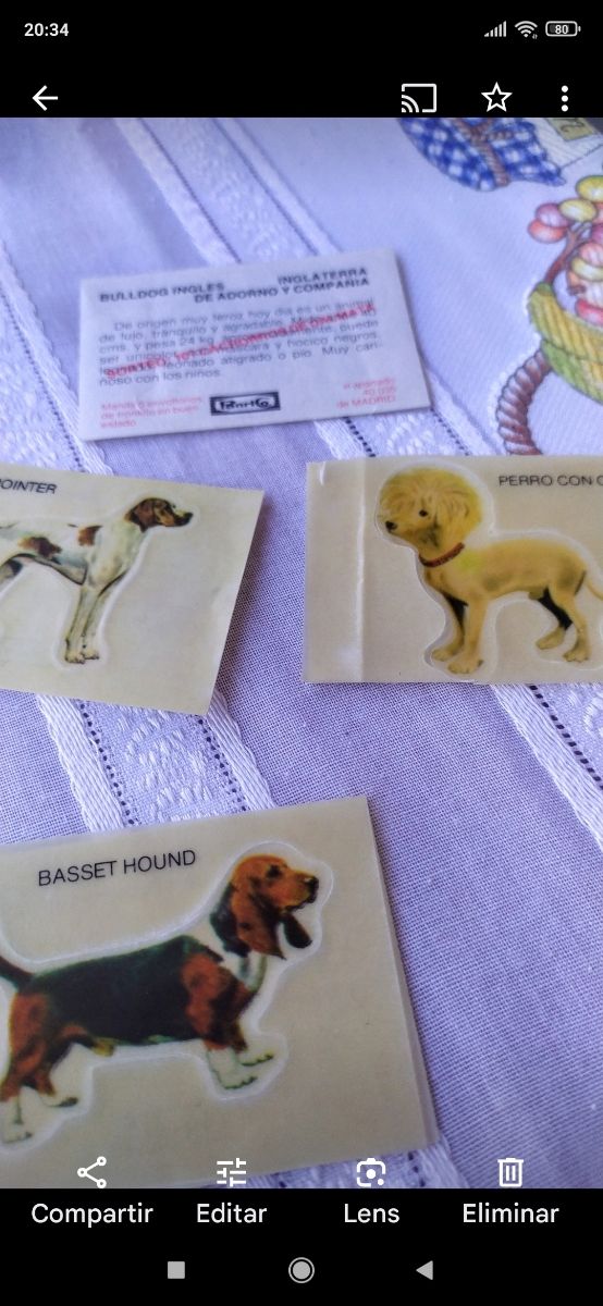 Pegatinas cromos  Panrico adhesivos