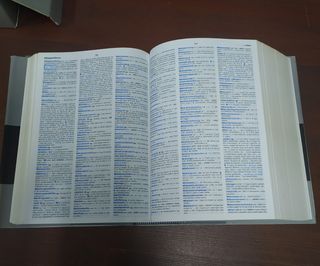 Dizionario IL Sansoni Tedesco