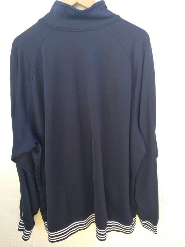 Real sociedad ( descripción).