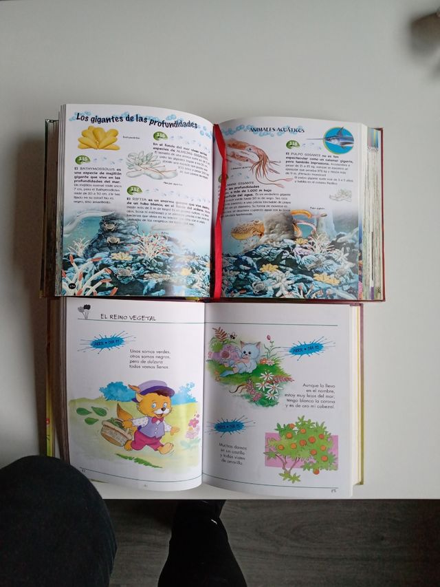Lote libros infantiles