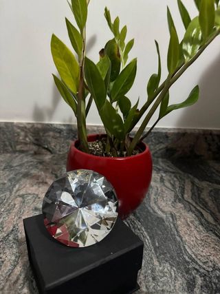 Fermacarte diamante Rosenthal