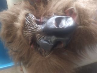 Accessorios para disfraz