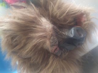 Accessorios para disfraz