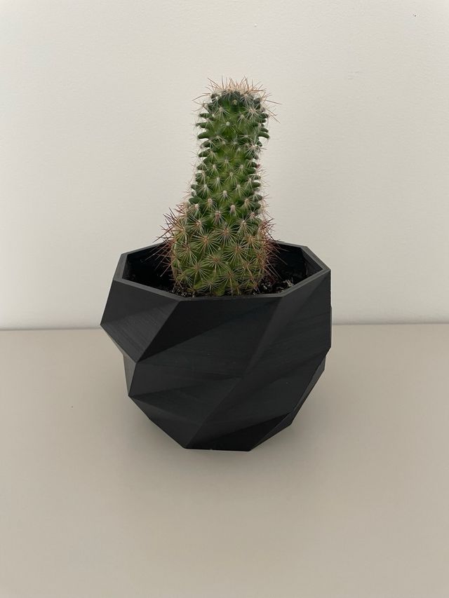 Servicio de impresion 3D ✅